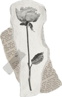 an old newspaper with a rose on it